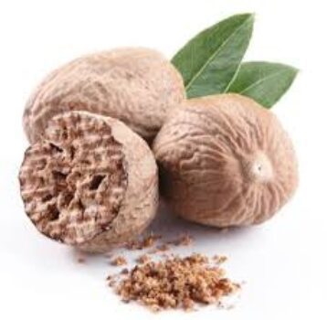 Buy Jaiphal - Jayfal - Nutmeg online on Looji at best price in India.