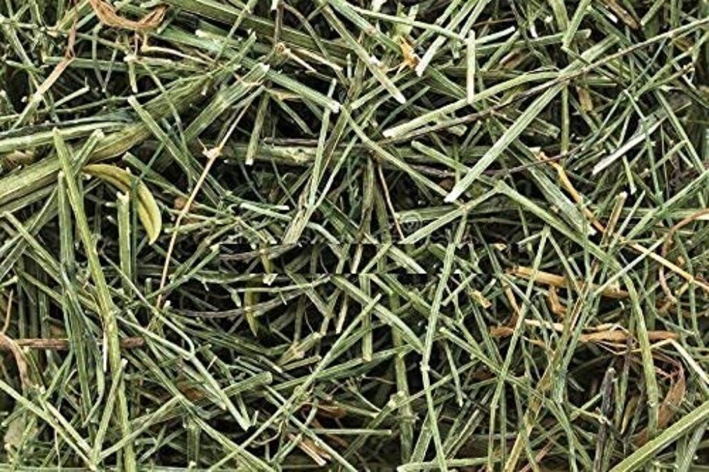 Looji chirata Chirayata pack of 100g 200g 250g 500g 1kg online