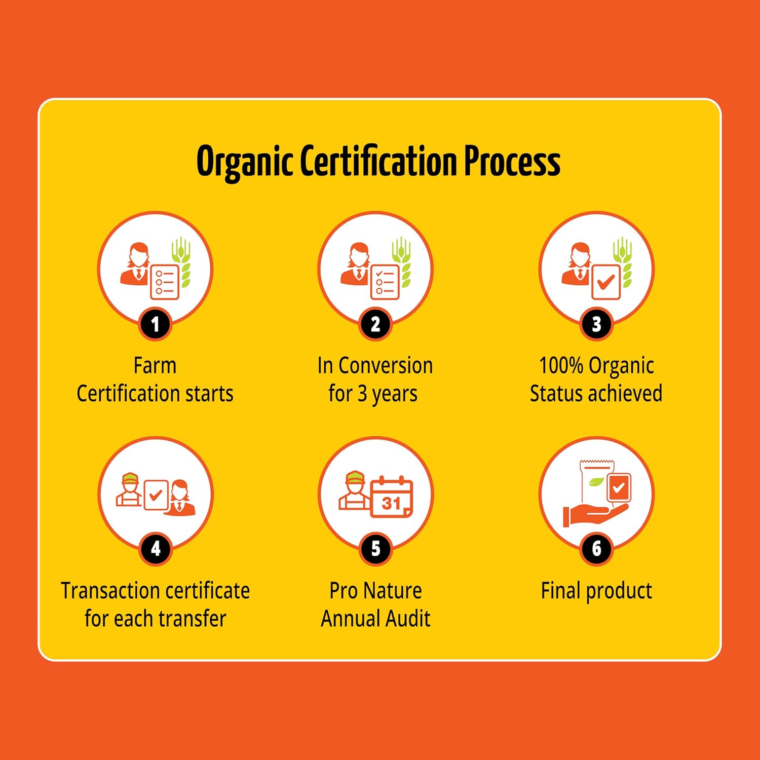 100% Pure & Original Dalchini / Cinnamon Sticks - Pack - Image 3